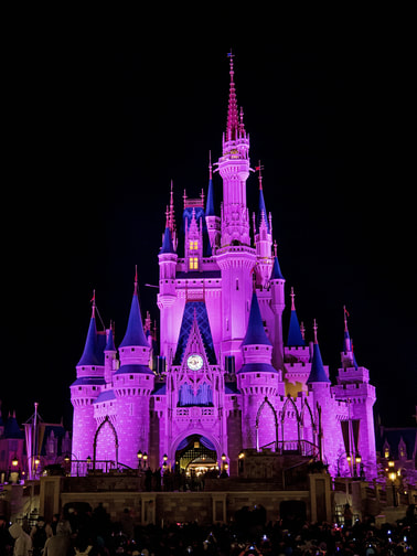 Disney World Night Castle 